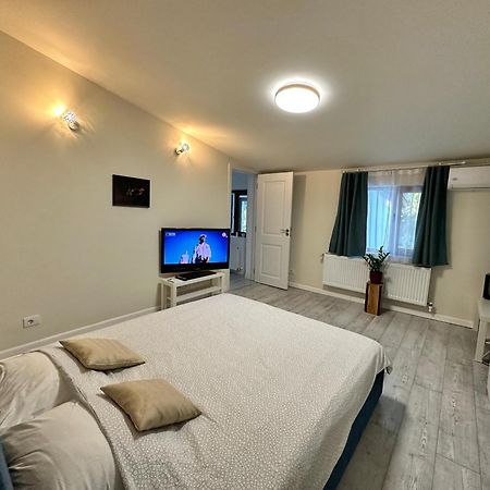 부쿠레슈티 Interbelic House With Courtyard And Terrace 빌라 외부 사진